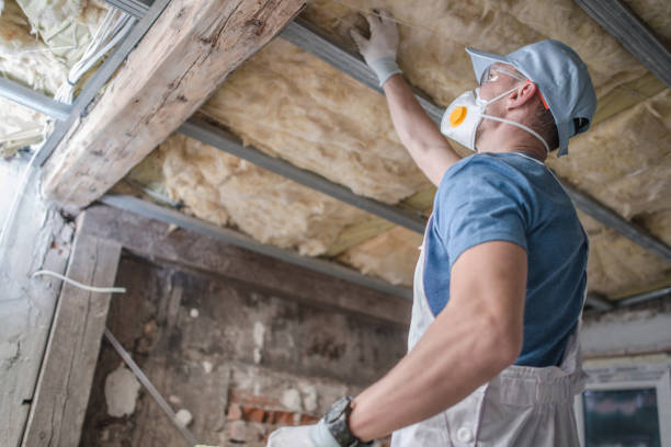 Best Energy Efficiency Solutions in Central City, IL